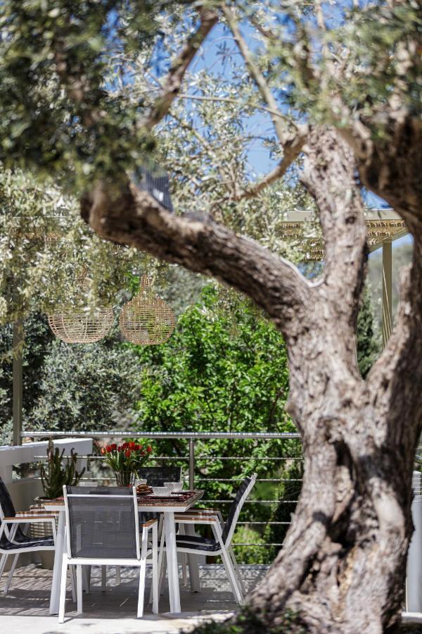 Rizes Villa With Jacuzzi & Heated Pool Agia Triada エクステリア 写真
