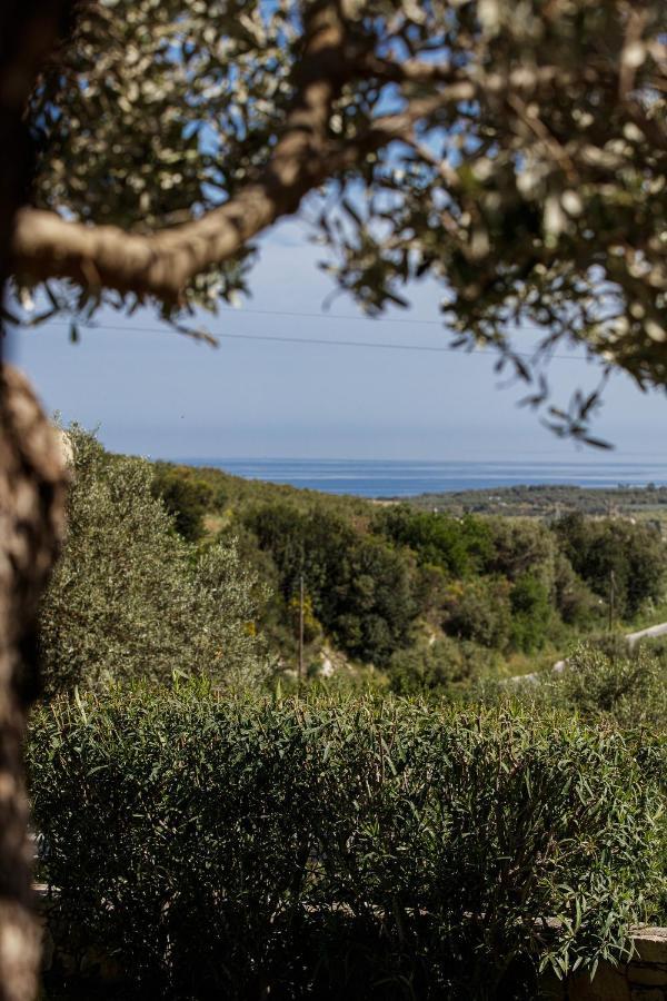 Rizes Villa With Jacuzzi & Heated Pool Agia Triada エクステリア 写真